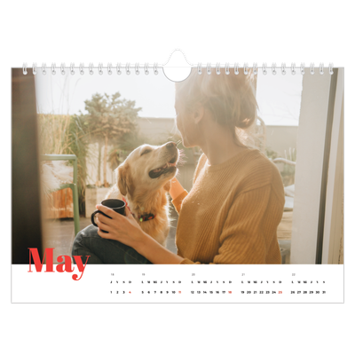 Calendario A4 horizontal — Un año genial [portada]