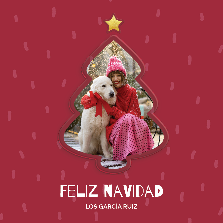 Tarjetas — Árbol con marco rojo