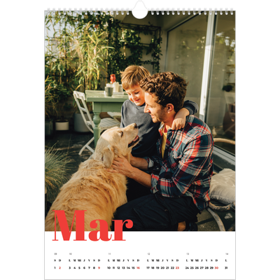 Calendarios A3 — Un año genial [Marzo]