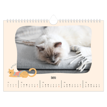 Calendario personalizado A4 horizontal  — Gatos y garabatos
