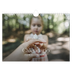 Calendario A4 horizontal — Doce grandes meses [portada]