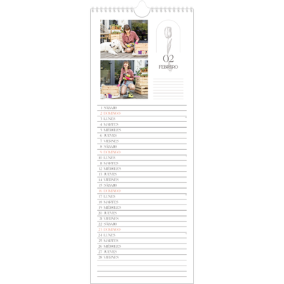 Calendario de cocina  — Botánica sencilla [Febrero]
