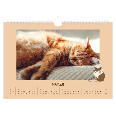 Calendario A4 horizontal — Gatito juguetón [Marzo]