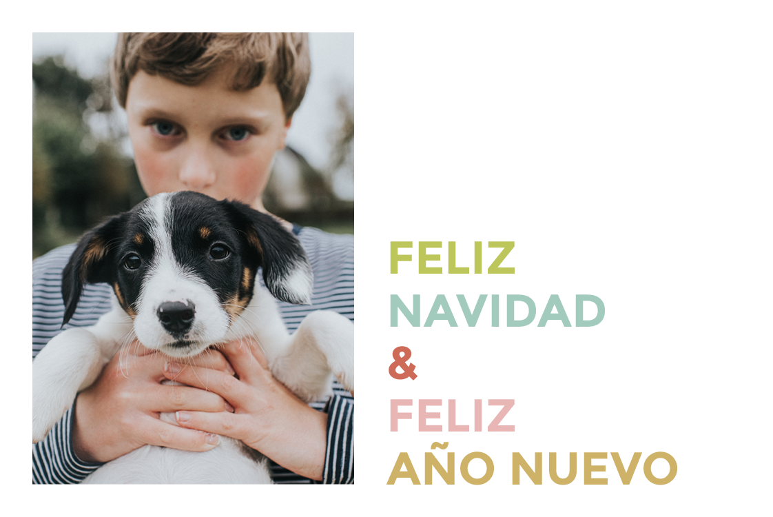 Tarjetas — Tipografía colorida