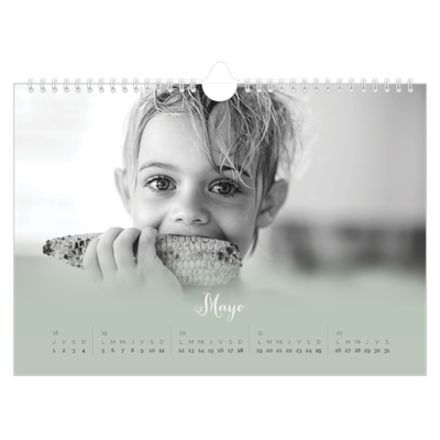 Calendario A4 horizontal — Verde bruma [portada]