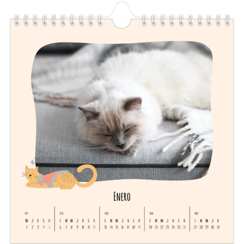 Calendario personalizado cuadrado — Gatos y garabatos