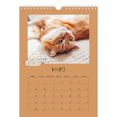 Calendario personalizado A4 — Gatito juguetón [portada]