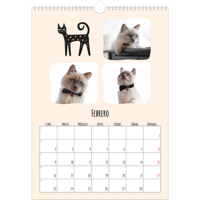 Calendarios A3 — Gatos y garabatos [Febrero]