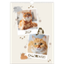 Calendarios A3 — Gatito juguetón [portada]