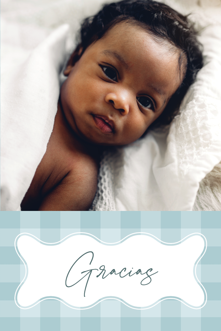 Tarjetas de agradecimiento — Vieiras pastel