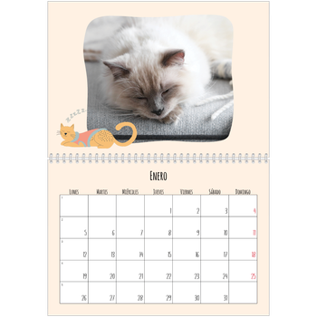 Calendario personalizado A4 doble — Gatos y garabatos