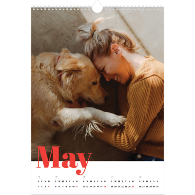 Calendarios A3 — Un año genial [portada]