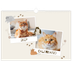 Calendario A3 horizontal — Gatito juguetón [portada]