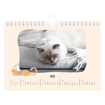 Calendario personalizado A5 horizontal — Gatos y garabatos