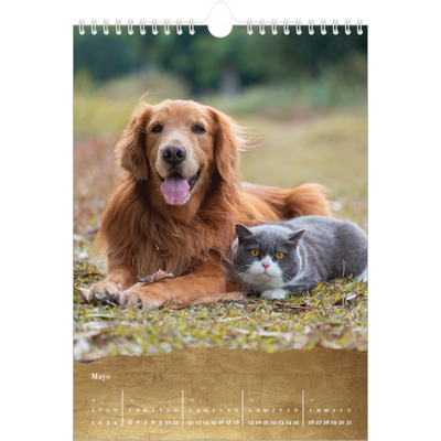 Calendario personalizado A4 — Classic Gold [portada]