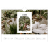 Calendario A4 horizontal — El arco abierto [Febrero]