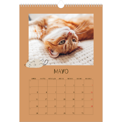 Calendarios A3 — Gatito juguetón [portada]