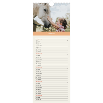 Calendario de cocina  — Capítulos pastel [Marzo]