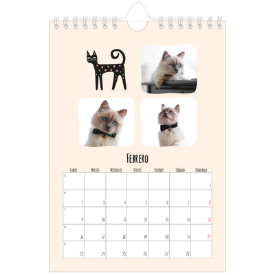 Calendario personalizado A5 — Gatos y garabatos [Febrero]