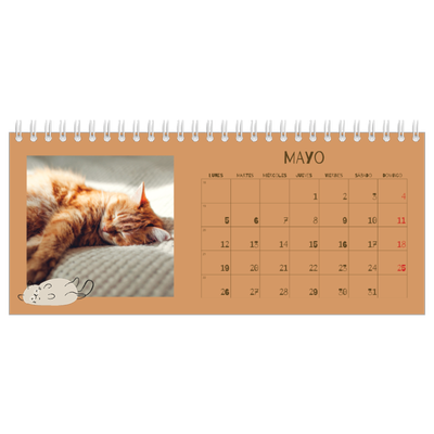 Calendarios de mesa — Gatito juguetón [portada]