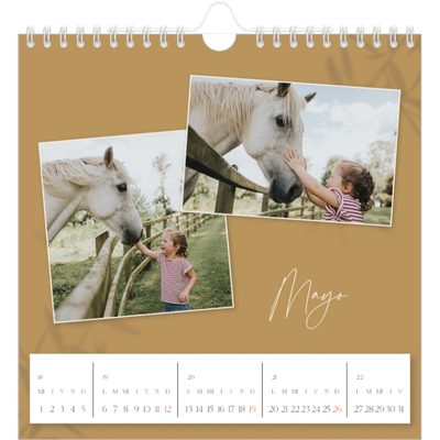 Calendarios Cuadrados — Con los pies en la tierra [portada]