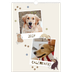 Calendarios A3 — Cachorro juguetón [portada]