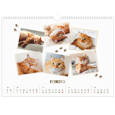 Calendario A3 horizontal — Gatito juguetón [Febrero]