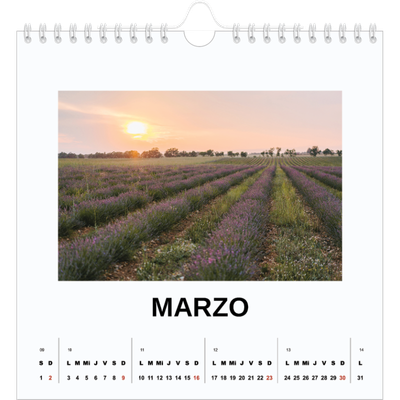 Calendarios Cuadrados — Foto simple [Marzo]