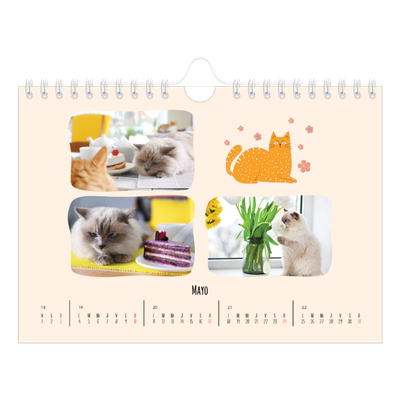 Calendario personalizado A5 — Gatos y garabatos [portada]
