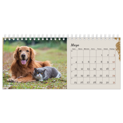 Calendarios de mesa — Classic Gold [portada]