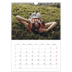 Calendarios A3 — Escapada infinita [Mayo]