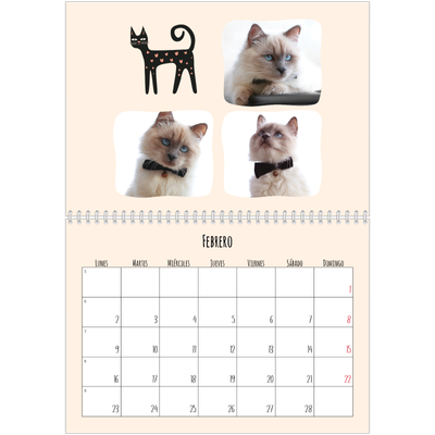 Calendario personalizado doble A4 — Gatos y garabatos [Febrero]