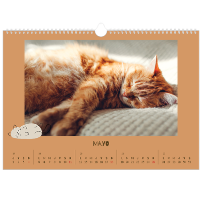 Calendario A3 horizontal — Gatito juguetón [portada]