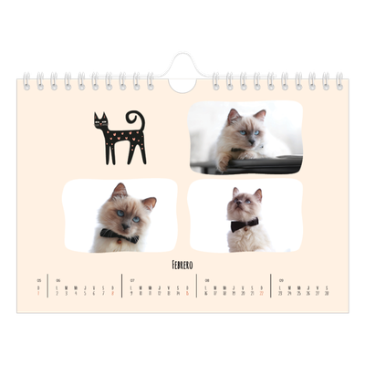 Calendario personalizado A5 — Gatos y garabatos [Febrero]