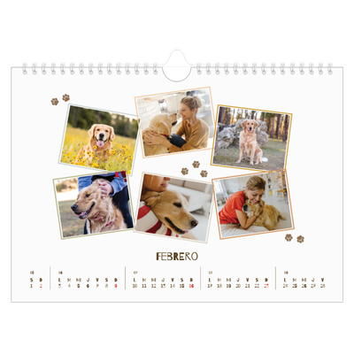 Calendario A4 horizontal — Cachorro juguetón [Febrero]