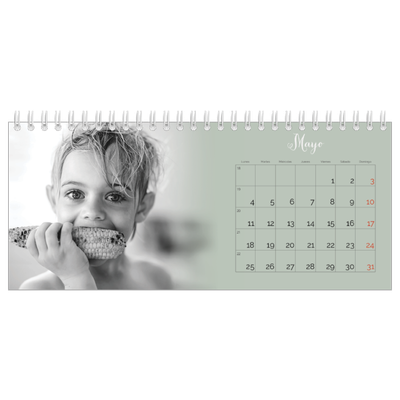 Calendarios de mesa — Verde bruma [portada]