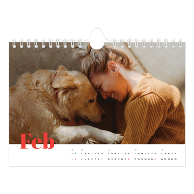 Calendario personalizado A5 — Un año genial [Febrero]