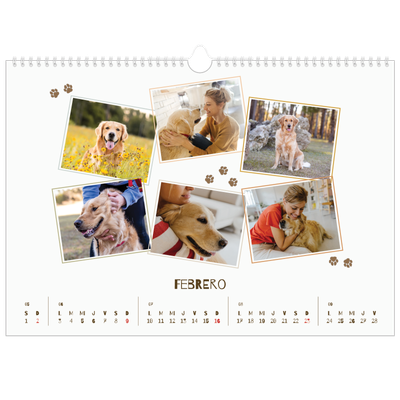 Calendario A3 horizontal — Cachorro juguetón [Febrero]