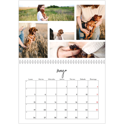 Calendario personalizado doble A4 — Disposición de fotos [portada]