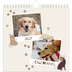 Calendarios Cuadrados — Cachorro juguetón [portada]