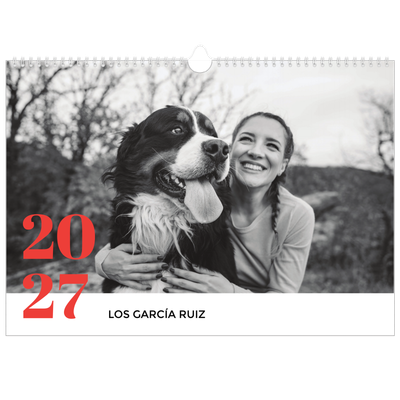 Calendario A3 horizontal — Un año genial [portada]
