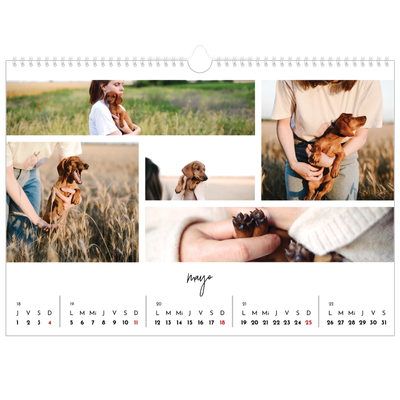 Calendario A3 horizontal — Disposición de fotos [portada]