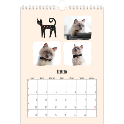 Calendario personalizado A4 — Gatos y garabatos [Febrero]